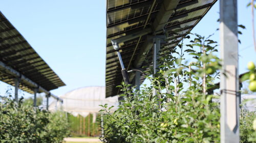 Nachführende Agri-Photovoltaik über Apfellfeld mit Hydraulik angetrieben